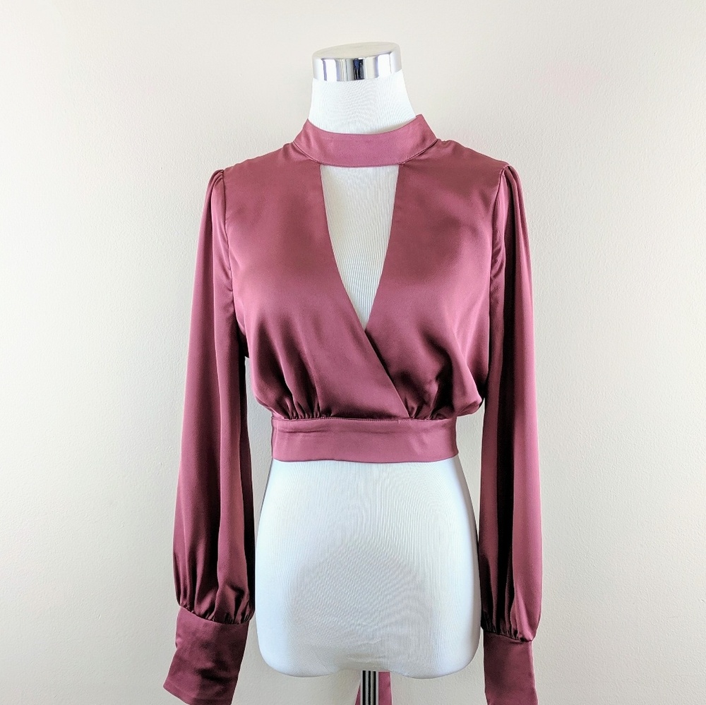 Sexy Satin Look Rose Crop with Deep V Open Back - Picture 2 of 3